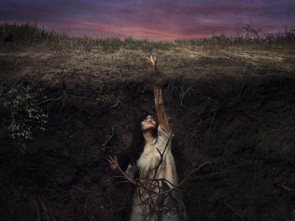 Same Story, Different Interpretation