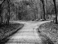 To Kiss or to Cleave –  Ruth’s Kairos Moment